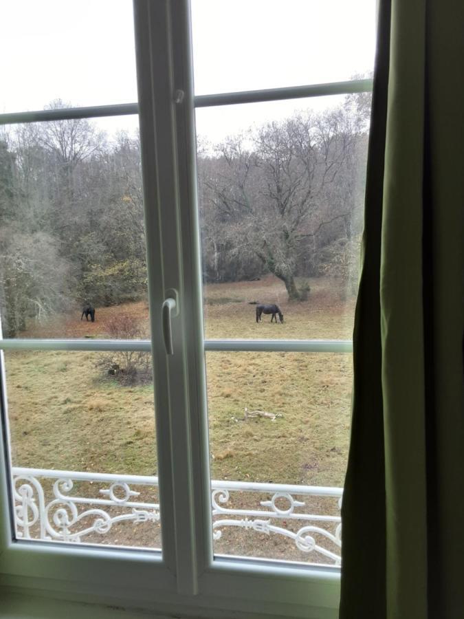 Chateau De La Touche Proche Poitiers Otel Savigny-Lévescault Dış mekan fotoğraf